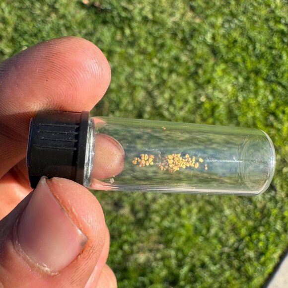 0.10 grams of Alaska Gold Flakes in Jar - Picture 1 of 9